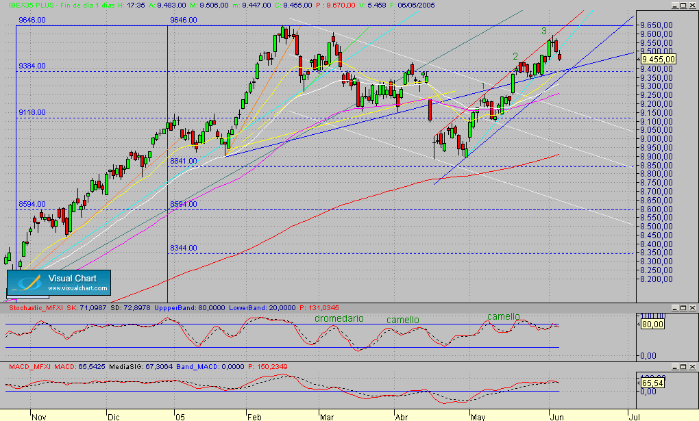 Fibex.Diario.seg.060605.gif