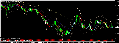 grafico.gif