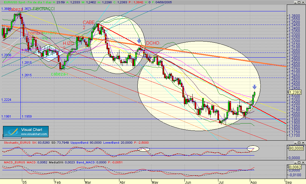 eurusd.diario.seg.040805.gif