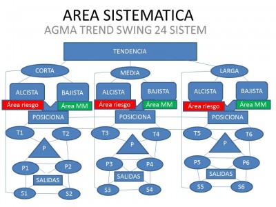 AREA SISTEMATICA, MULTISISTEMA.jpg