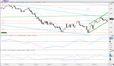 ibex diario