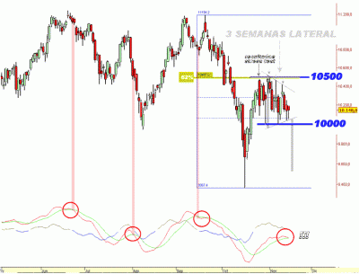 Ibex 3428.GIF