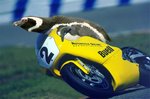 Vamos como una moto.jpg