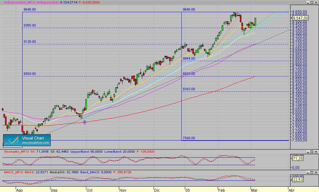 Fibex.Diario.segmto2.040305.gif