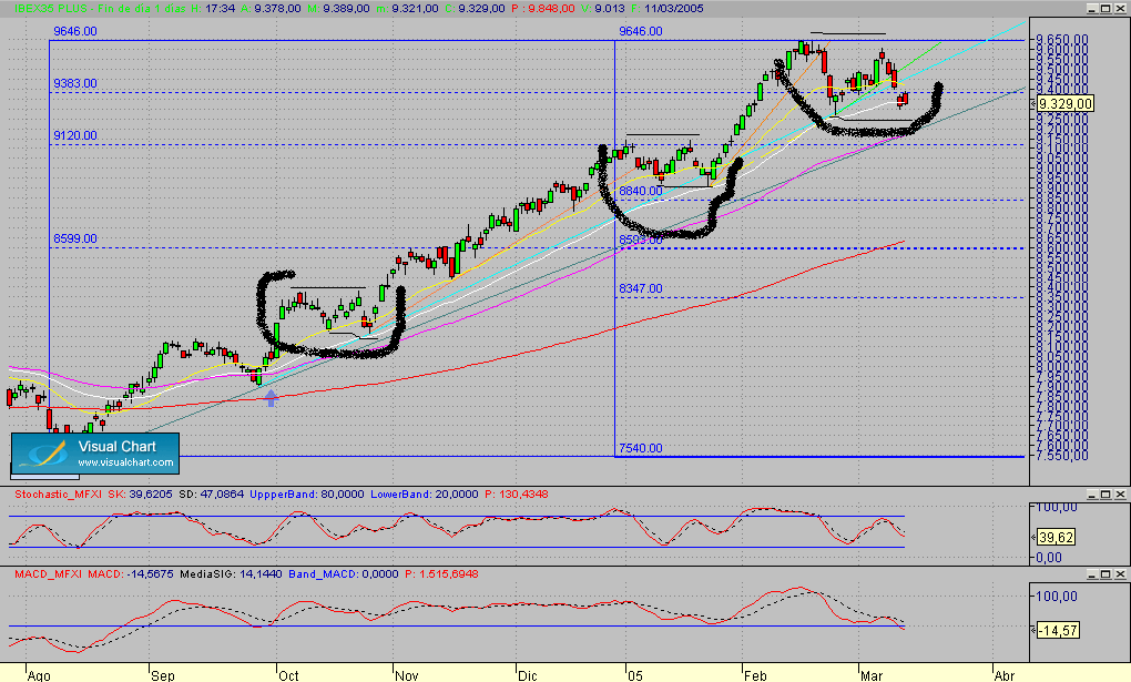 Copia (2) de Fibex.Diario.seg.110305.gif