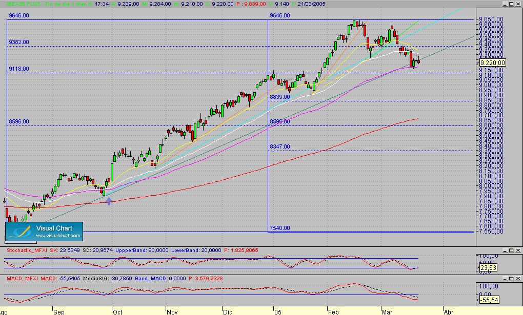 Fibex.Diario.seg.210305.GIF