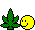 Marihuana :smt238